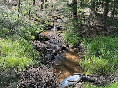 Route 580 Hwy unit 6, Cherry Tree, PA 15728 - photo 5