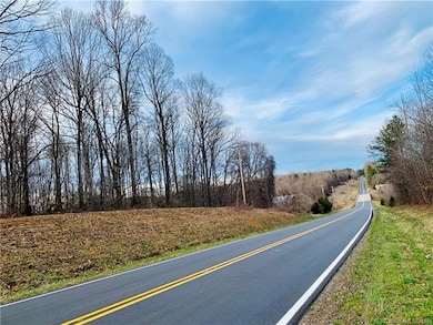 9.98 ac Mocksville Hwy, Statesville, NC 28625 - photo 3