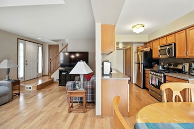 8229 170th St unit 8229, Tinley Park, IL 60477 - photo 5