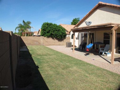 Back Yard 3