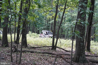 Lot 7 Justin Ln, Great Cacapon, WV 25422 - photo 2