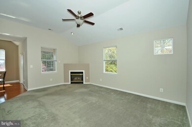 5004 Willow Branch Way unit 301, Owings Mills, MD 21117 - photo 4