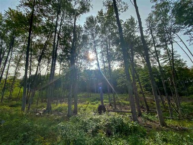 00 Hill Rd unit M:12 B10 L:B, Alstead, NH 03602 - photo 3