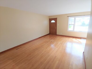 24 Austin Ave, Carpentersville, IL 60110 - photo 4