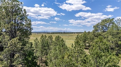 10490 Alamar Way, Black Forest, CO 80908 - photo 2