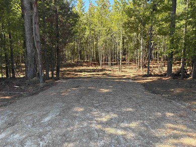0 Bethuel Rd unit Lot 13, Unincorporated, TN 38053 - photo 3