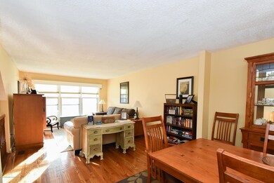 27-Mulberry-19
