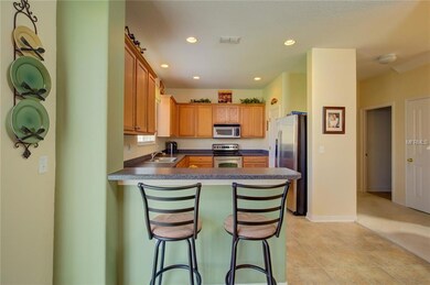 9627 Maxson Dr, Land O Lakes, FL 34638 - photo 7