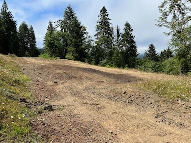 12.3 Acres Splinter Ln, Arcata, CA 95521 - photo 3