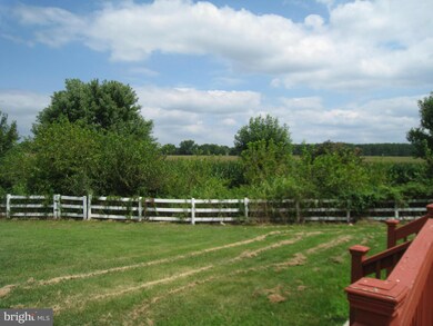 313 Pacific Ave, Cambridge, MD 21613 - photo 5