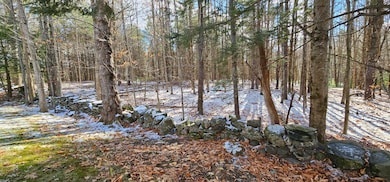 430 E Side Trail, Oakland, ME 04963 - photo 4