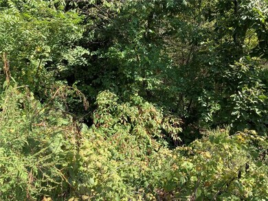 23 Hollow Way Dr, Bella Vista, AR 72715 - photo 3