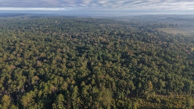 0 Lloyd Mill Rd unit LotWP001, Andalusia, AL 36421 - photo 2