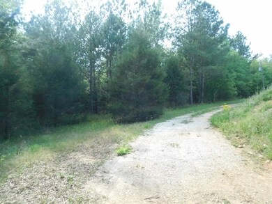 2112 Loco Church Rd, Lincolnton, GA 30817 - photo 7