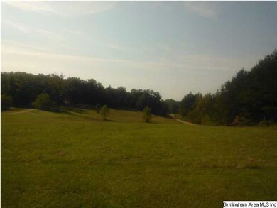 Some of the property for sale is pasture that woul
