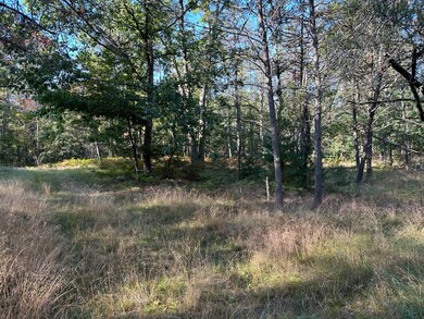 429 W 72nd St, Baldwin, MI 49304 - photo 5