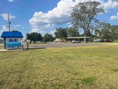 605 Western Bypass, Carolina, AL 36420 - photo 3