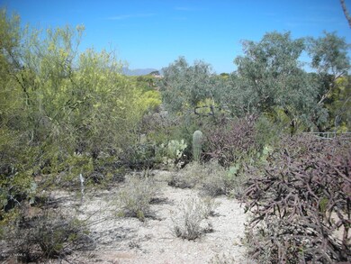 0 E Vía Alcalde unit 2 21211389, Catalina Foothills, AZ 85718 - photo 5