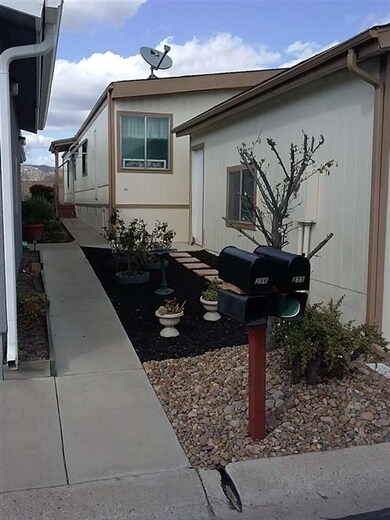 side yard with fruit tree and roses