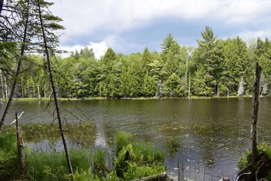 DSC_0285