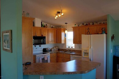 Set43Royal_Palm_