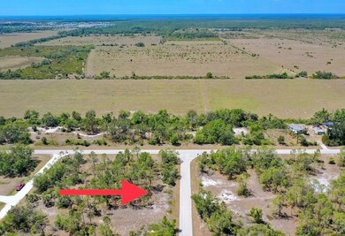 27031 Capistrano Dr, Punta Gorda, FL 33955 - photo 2