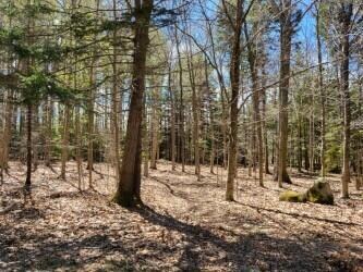 0 Quail Run lot 3