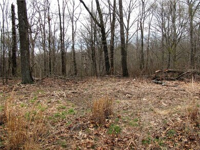 0 Leland Ln unit 1076820, Bella Vista, AR 72715 - photo 7