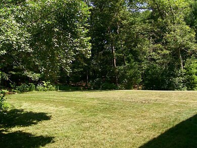 Yard/Garden.
