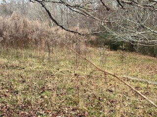 0 Julius Bridge Rd unit 420745, Ball Ground, GA 30107 - photo 4