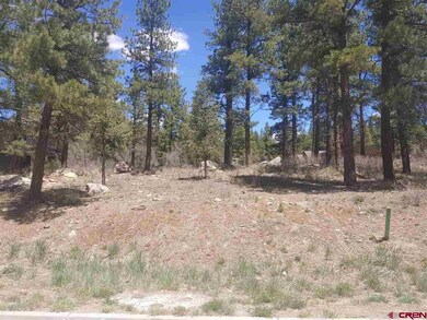 132 Wood Rose Ln, Durango, CO 81301 - photo 3