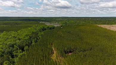 Old CC Road SC Land for Sale-06