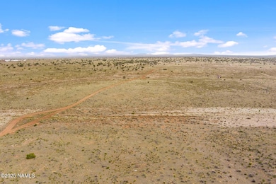 728 E Pine Rd, Valle, AZ 86046 - photo 2