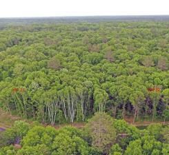 XX9 TBD Smiley Way, Pequot Lakes, MN 56472 - photo 5