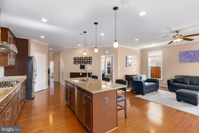 25069 Green Mountain Terrace, Aldie, VA 20105 - photo 6