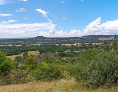 2334 Pfiester Rd unit 2, Fredericksburg, TX 78624 - photo 2