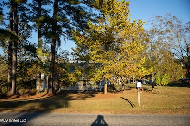 4457 Newton Conehatta Rd, Newton, MS 39345 - photo 4