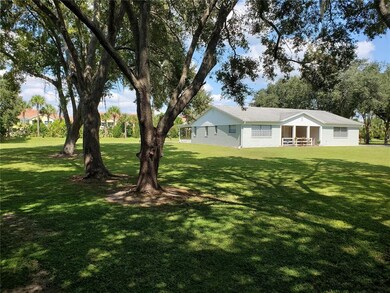 Front yard from sw corner