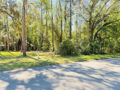 1188 W Pearson St, Hernando, FL 34442 - photo 6