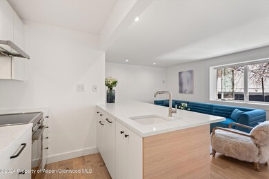 119 E Cooper Ave unit 26, Aspen, CO 81611 - photo 6