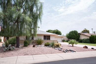 Desert Designed Landscaping