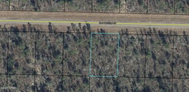 0 Bloomfield St, Chipley, FL 32428 - photo 2