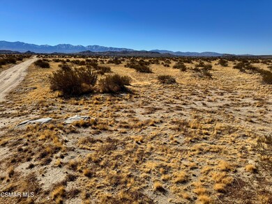 172 E Avenue l4, Lancaster, CA 93535 - photo 3