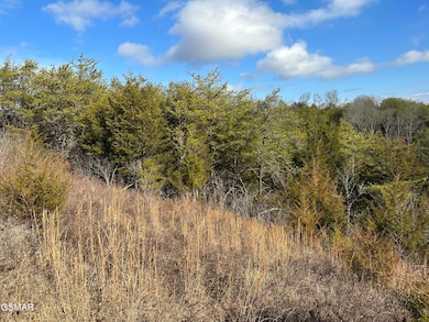 000 Leatherwood Rd, Sevierville, TN 37876 - photo 5