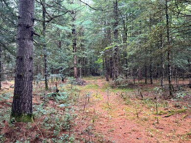 1.1 Farr Rd unit 1, Ohio, NY 13324 - photo 4