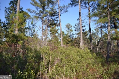 0 Sandpiper Ln unit TRACT 2, Swainsboro, GA 30401 - photo 7