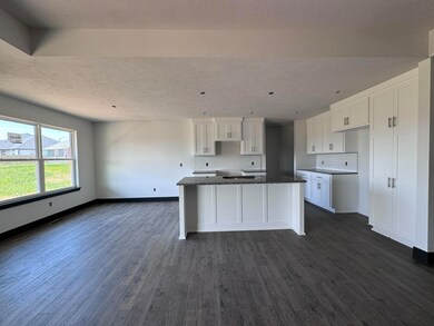 1802 E Vicksburg Passage, Republic, MO 65738 - photo 2