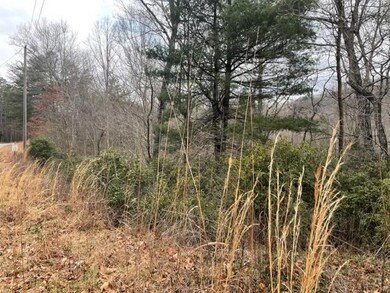 00 Sanderling Ct unit 325, Lake Lure, NC 28746 - photo 6