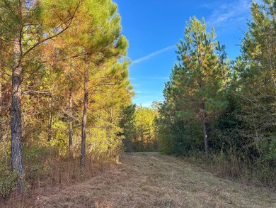 0 Jordon Rd unit 25580264, Waverly Hall, GA 31831 - photo 2