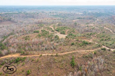 0 Steele Rd, Jasper, AL 35503 - photo 4